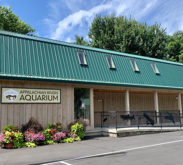 Appalachian Rivers Aquarium (Bryson&nbspCity,&nbspNC)